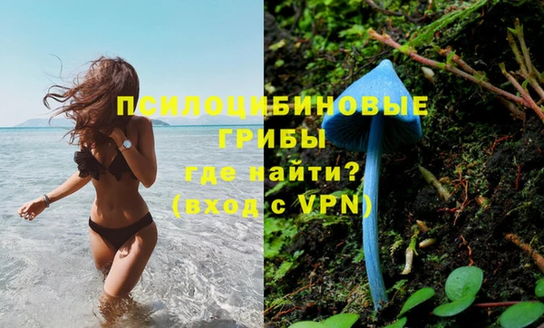 ALPHA PVP Усинск